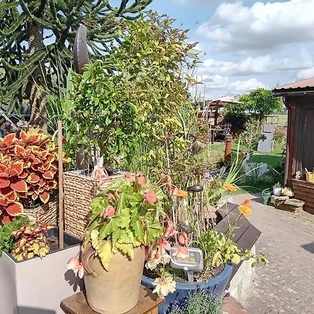 Apartament Auszeit-schoenenwalde